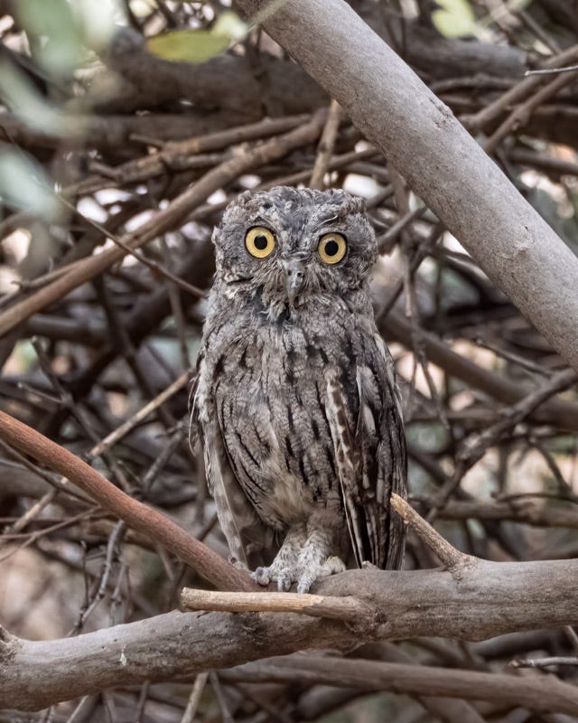 20250811-mby-124-Edit.jpg 20250811-mby-124-Edit.jpg