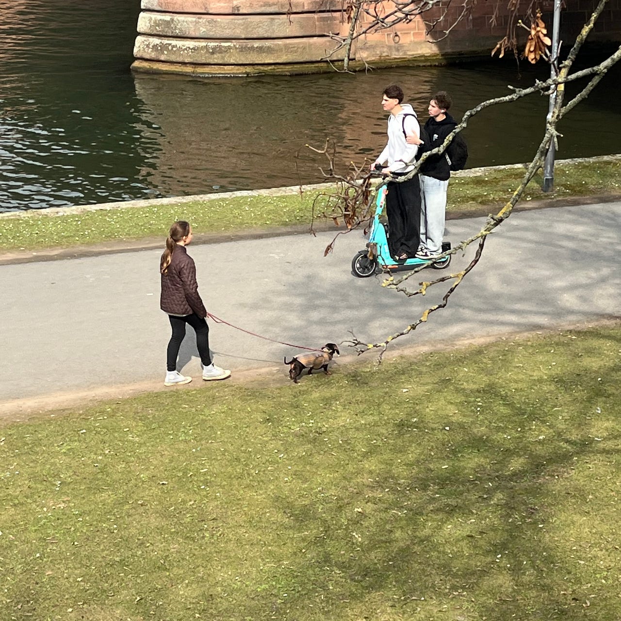 aesthetics of surplus