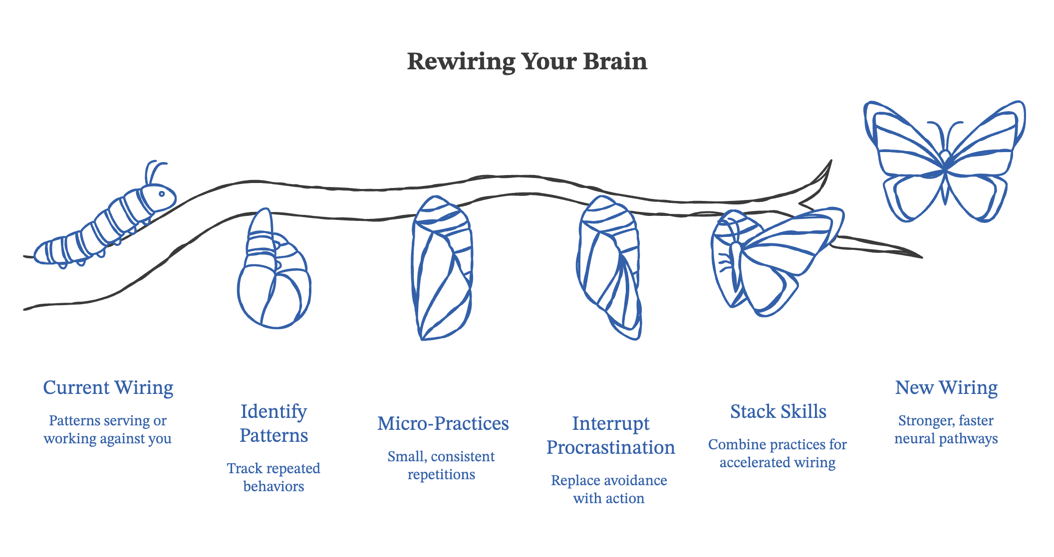 Brain Output Practice Practice makes permanent: your brain is training right now (whether you ...