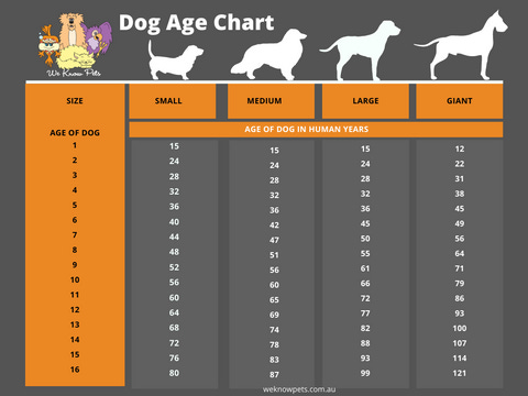 Dog Age Conversion to Human Years Chart Dog Age Conversion to Human Years Chart