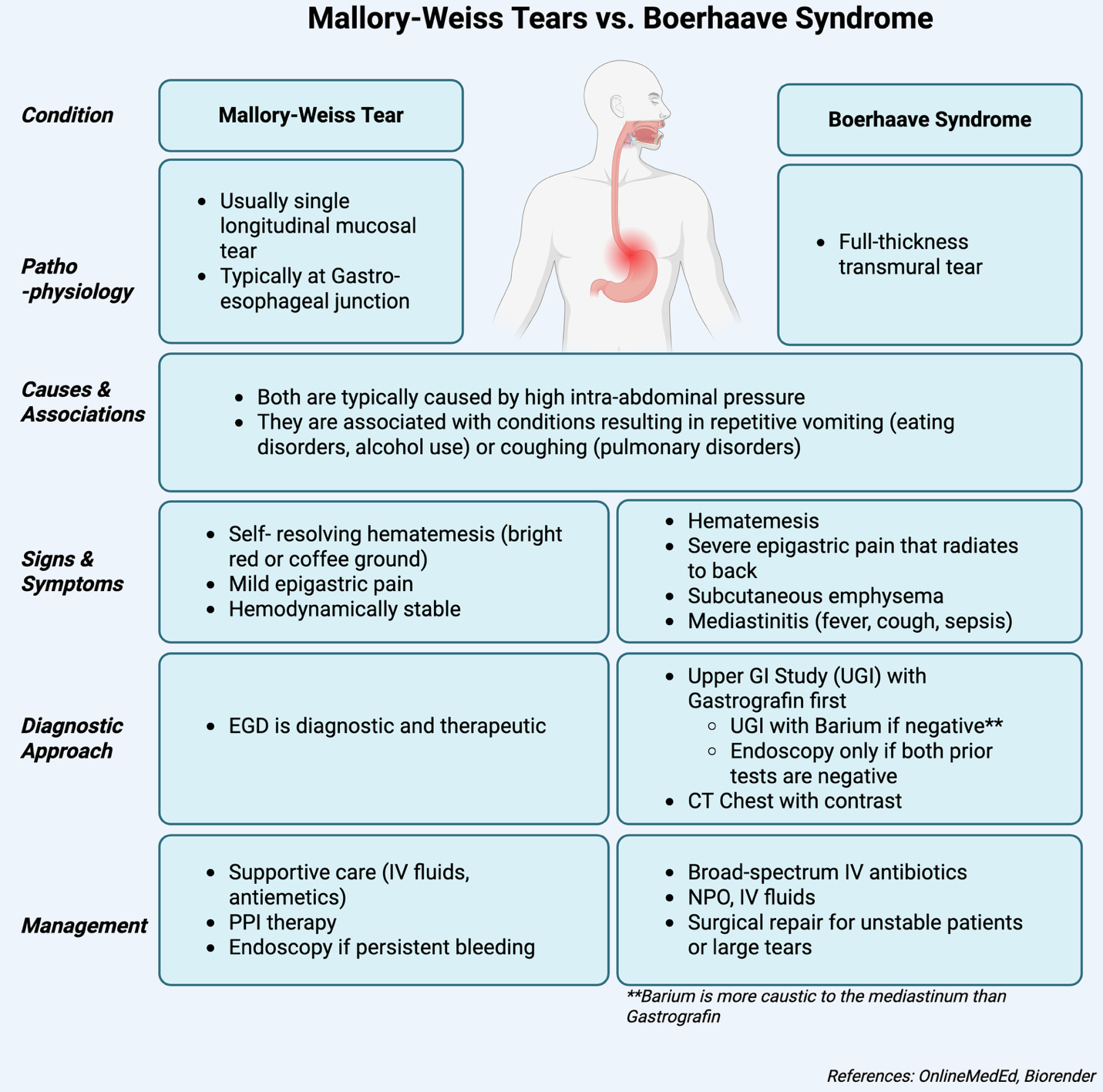 A diagram of a person's body

AI-generated content may be incorrect.
