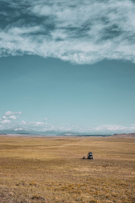 A gallery collage of eight photos from a cross-country road trip. The images show a dark-colored Ford Escape in various scenic American landscapes, including mountains, open plains at sunset, and on the road. The gallery also includes details from the journey and a view from inside the car.