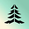 Pine’s Substack