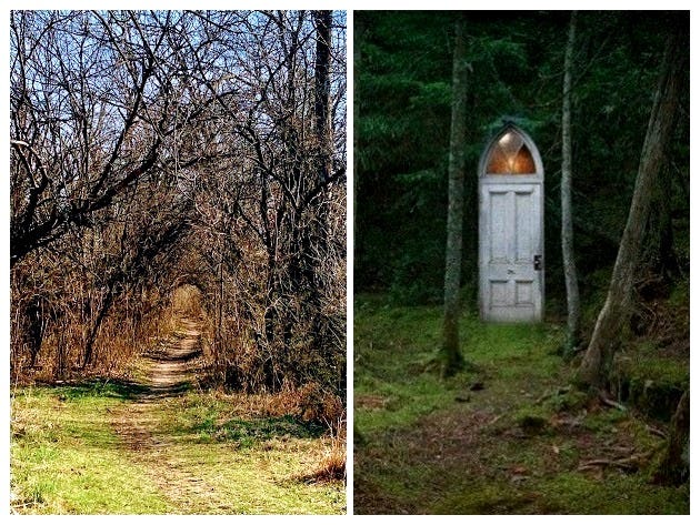 The Door That Remembered Them