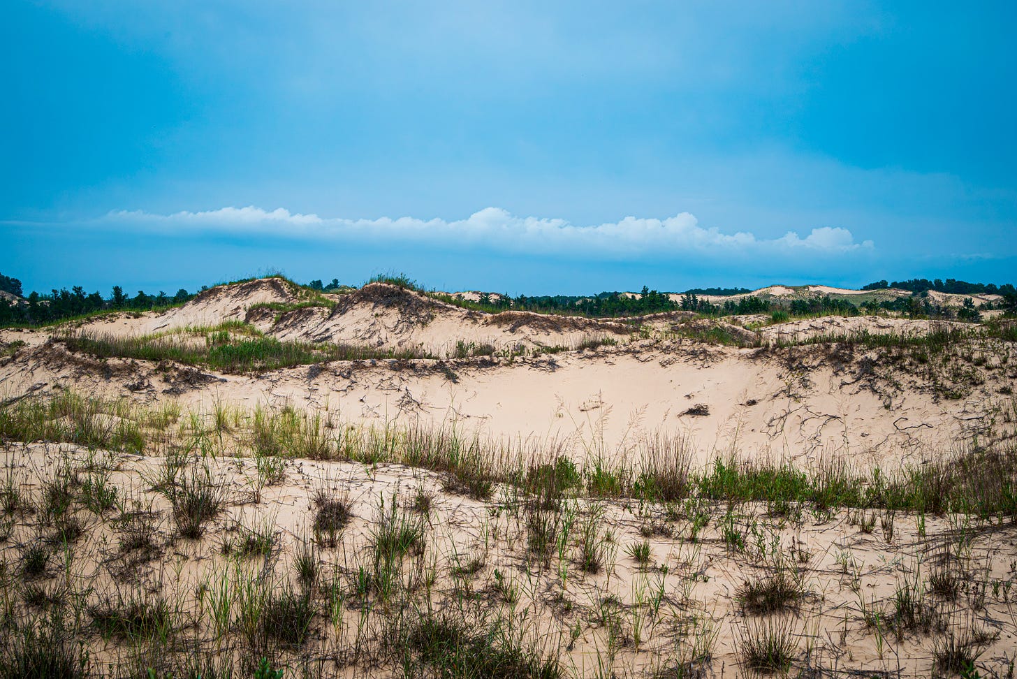 photograph of sand dunes photograph of sand dunes