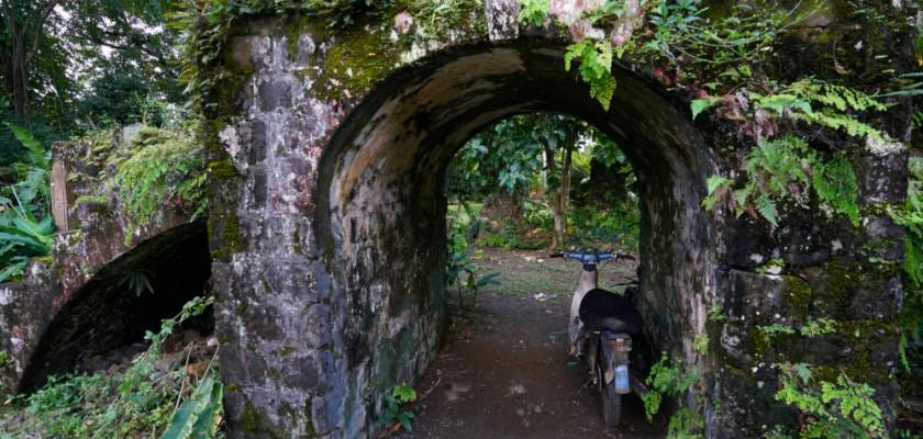 Bath Botanic Gardens