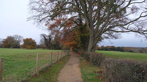 DSCF0939