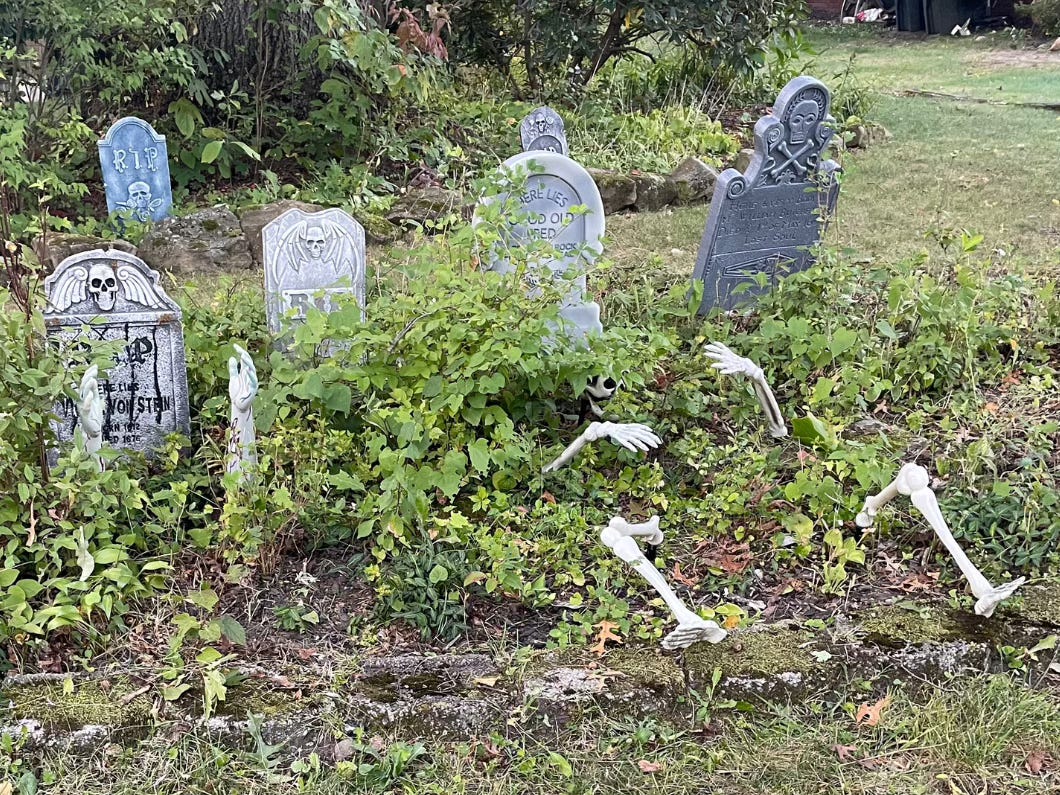 yard with halloween decorations