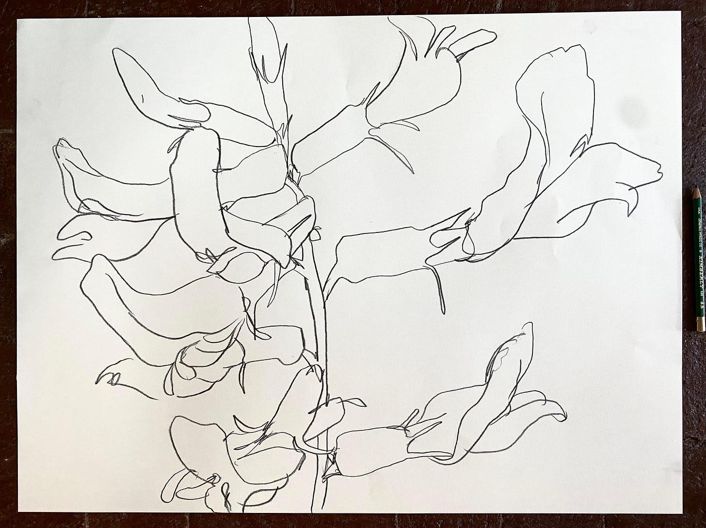 image7.jpeg
