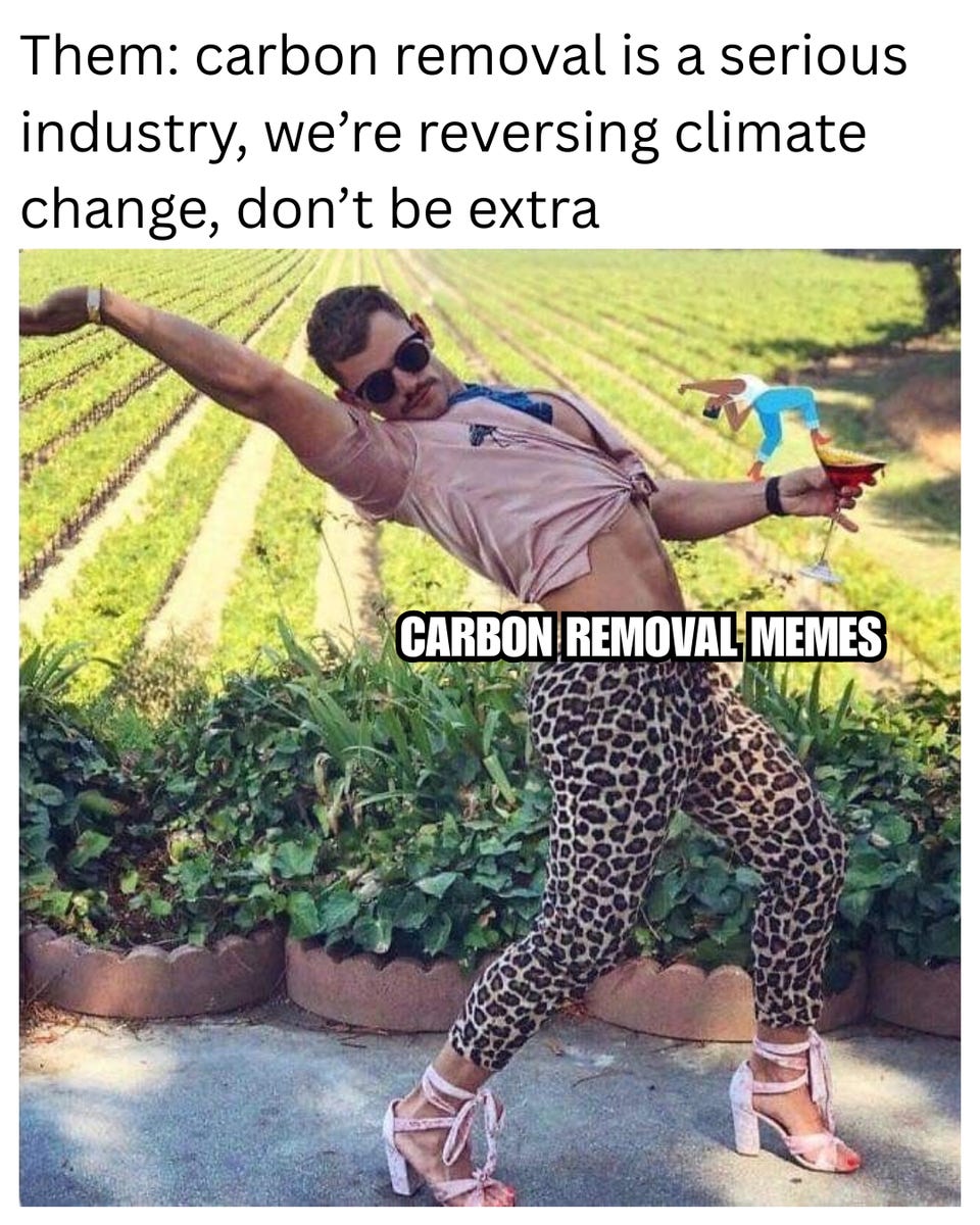 "Them: carbon removal is a serious industry, we're reversing climate change, don't be extra" above a man in leopard-print pants and heels striking a dramatic pose in a field, labelled "Carbon removal memes."