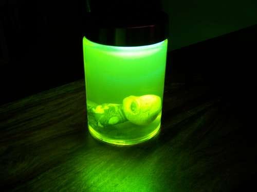 Alien-in-a-jar Alien-in-a-jar