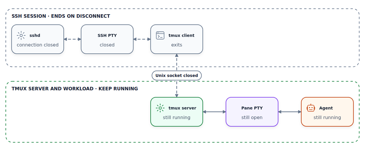 After an SSH disconnect, sshd, its PTY, and the tmux client stop while the tmux server keeps its pane PTY and agent running