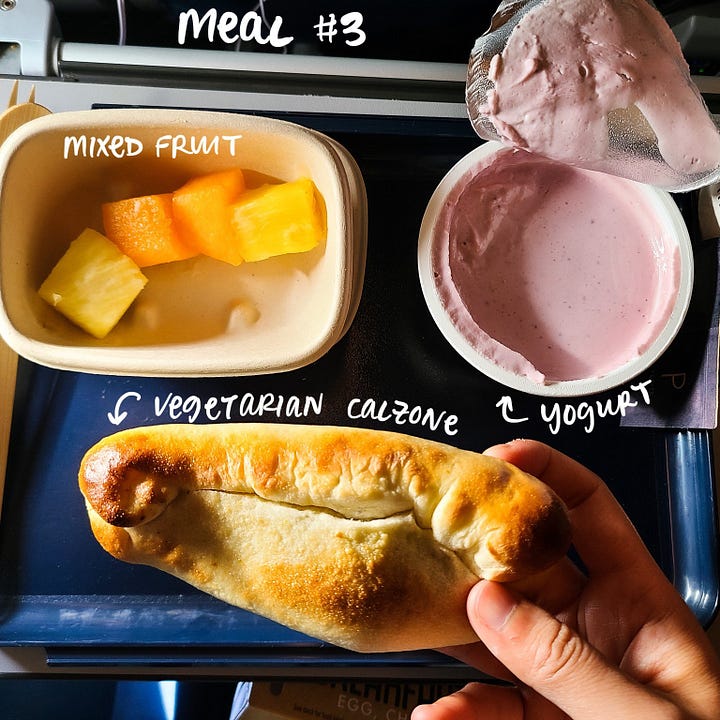 Delta Airline meal #3