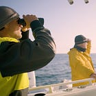 "Save the Whales, Again" by Leighton Woodhouse & Michael Shellenberger