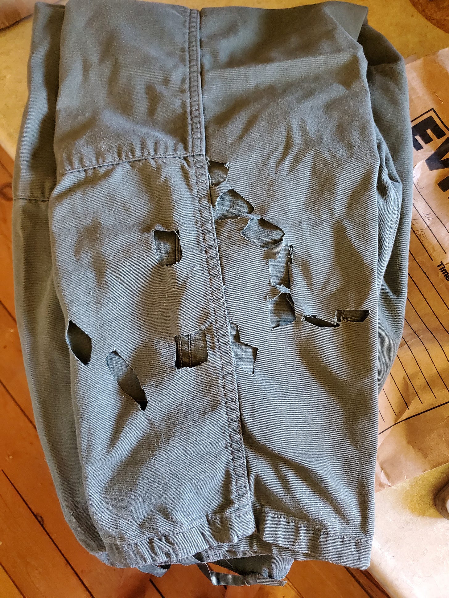 My pants, with fabric cut out where lab workers found bear saliva