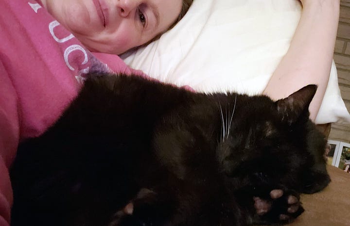 A brown tabby cat is in a dresser drawer. She leans out of it to give a black cat kisses. A woman cuddles a black cat on the couch.