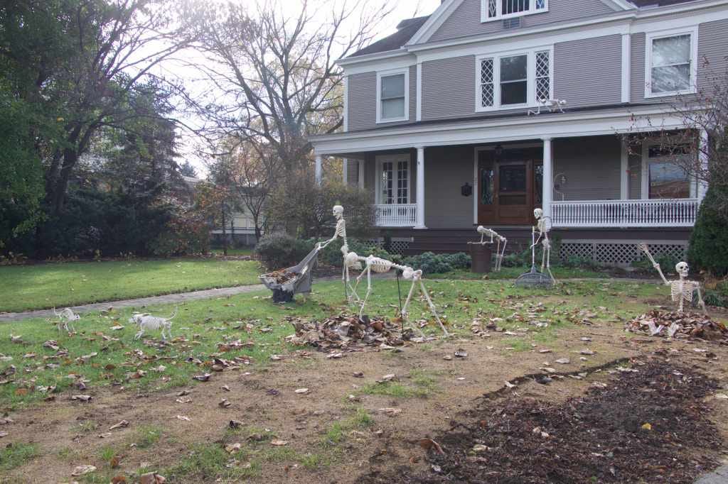 skeletons skeletons