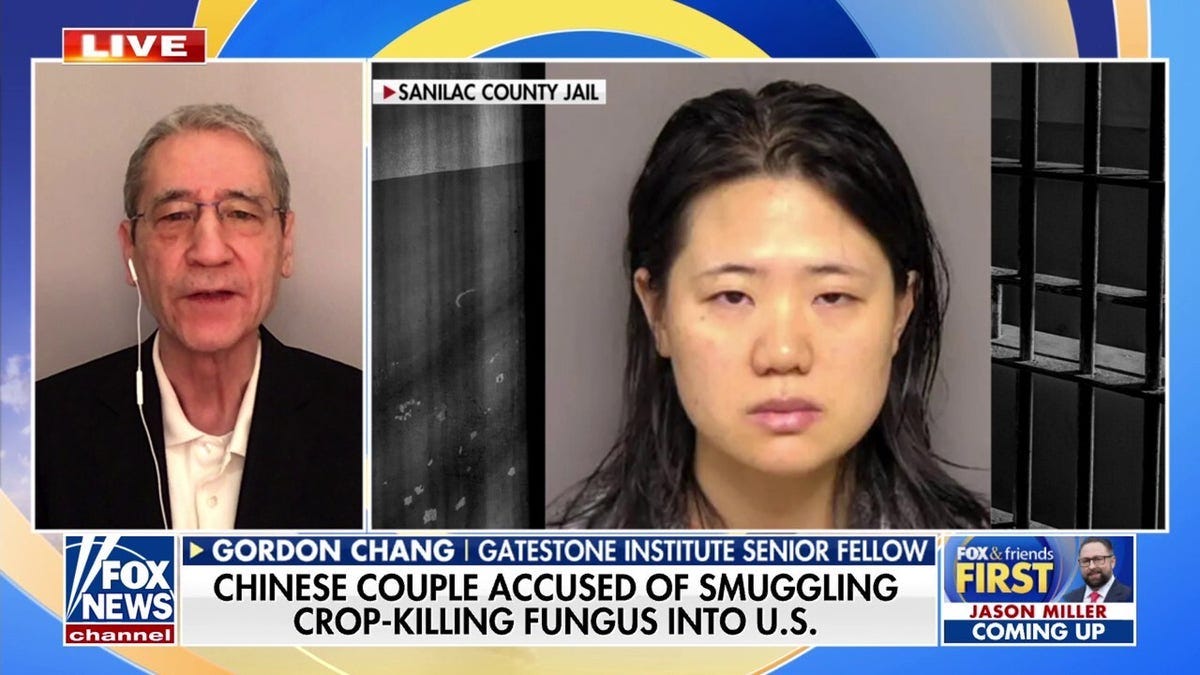 Michigan lawmaker warns of national security risks of a toxic fungus | Fox News Michigan lawmaker warns of national security risks of a toxic fungus | Fox News