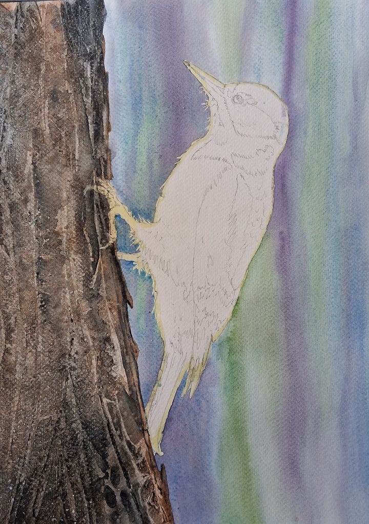 Elizabeth Tomkins - process images