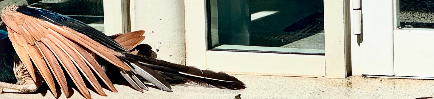 Capture d’écran 2026-03-14 à 16.59.10.png Capture d’écran 2026-03-14 à 16.59.10.png