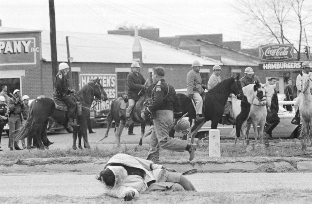 horses protest horses protest