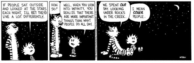 r/calvinandhobbes - Look at the stars