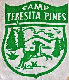 I Am an Underprivileged Summer Camp Survivor