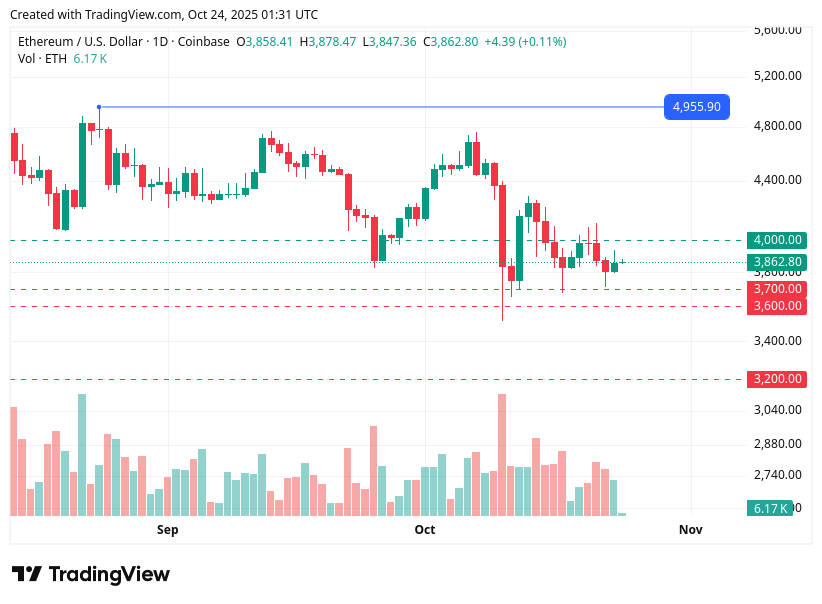 TradingView chart TradingView chart
