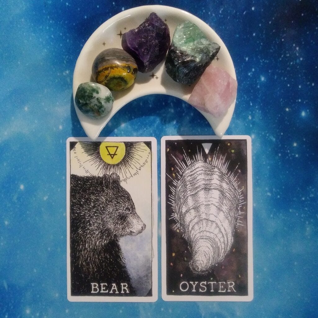 A Message from the Universe ~ Your First Wobbly Steps, Wild Unknown Animal Spirit Cards