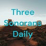 Three Sonorans: News from the Borderlands Resistance
