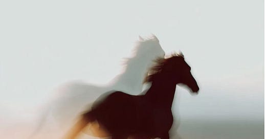 The Sunday Escape | Substack