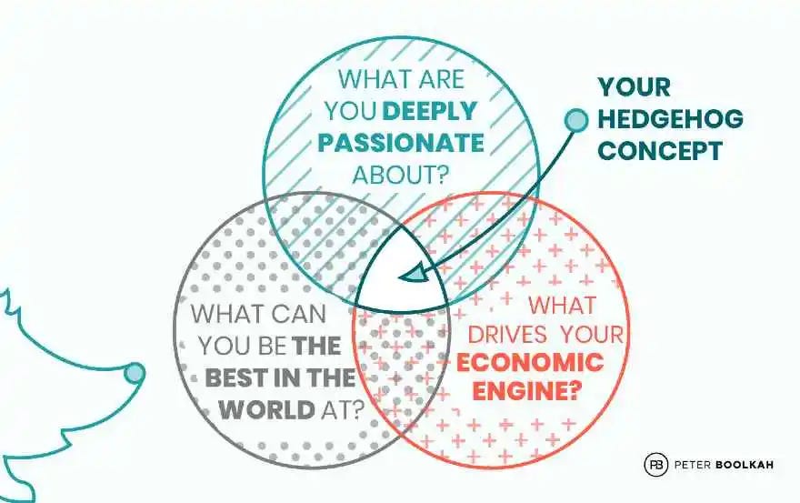 What is the Hedgehog Concept? - Peter Boolkah
