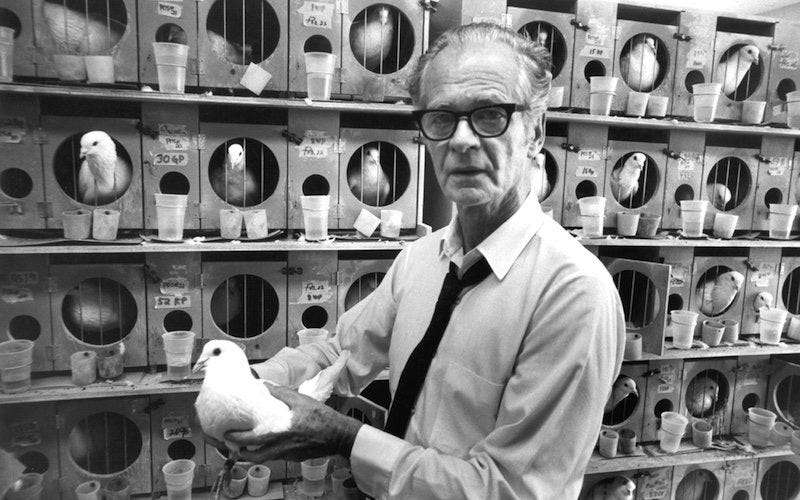 B. F. Skinner | Highbrow
