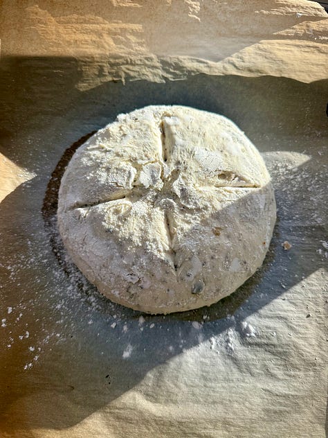 sourdough bread proofing