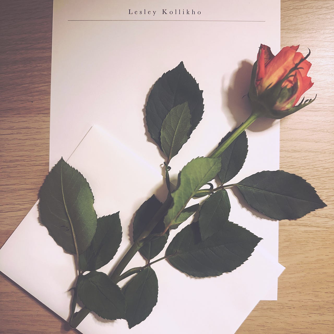 Lesley’s Letters