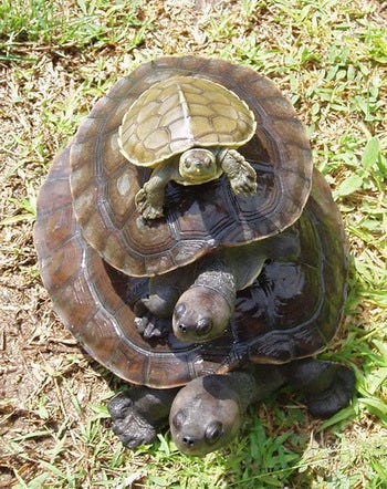 Turtles all the way down - Wikipedia Turtles all the way down - Wikipedia