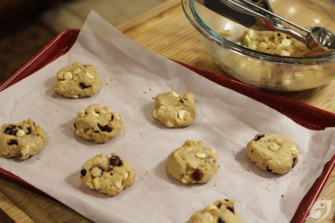 Step 8 - Scoop the dough using a 1 ½ tablespoon (medium-size) cookie scoop. Place cookies 2-3 inches apart on prepared cookie sheets. If desired, top with additional white chocolate chips and cranberries. Lightly press down on the top of each cookie to flatten slightly, then brush each cookie with a bit of milk before baking to help in browning. Step 8 - Scoop the dough using a 1 ½ tablespoon (medium-size) cookie scoop. Place cookies 2-3 inches apart on prepared cookie sheets. If desired, top with additional white chocolate chips and cranberries. Lightly press down on the top of each cookie to flatten slightly, then brush each cookie with a bit of milk before baking to help in browning.