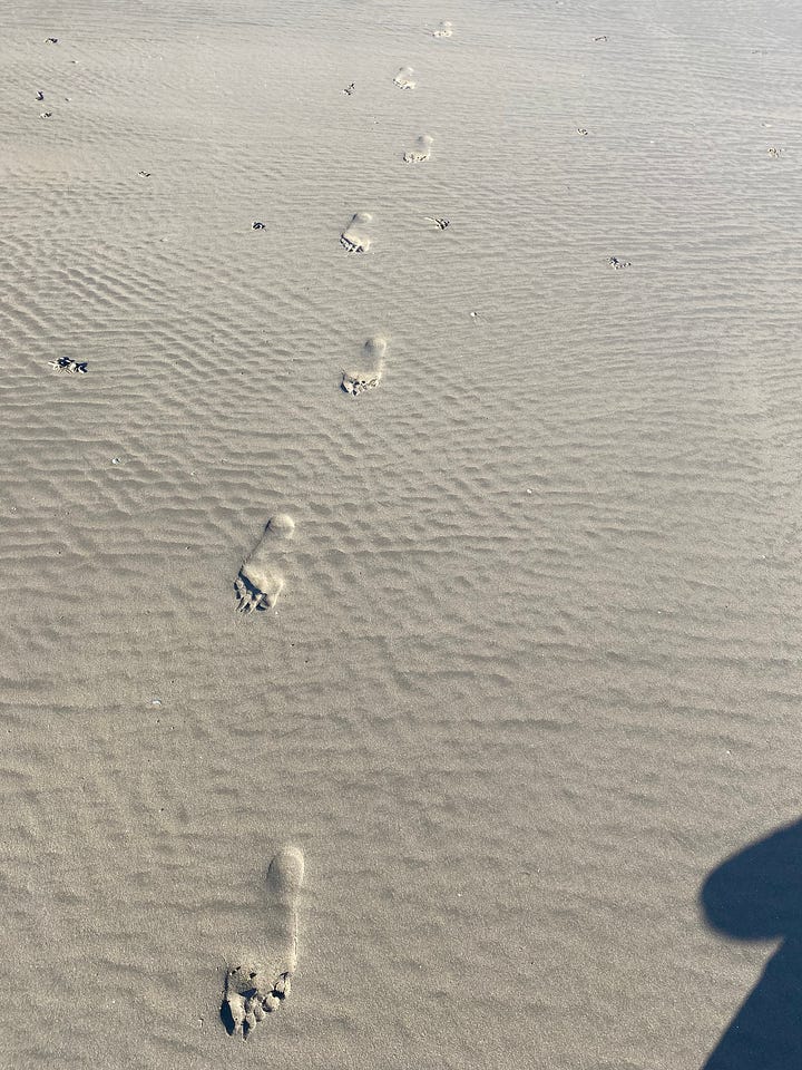Snapshots from the beach walk I took to try to process all my writing feeeeeelings