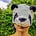 Sancho Panda, PhD's avatar
