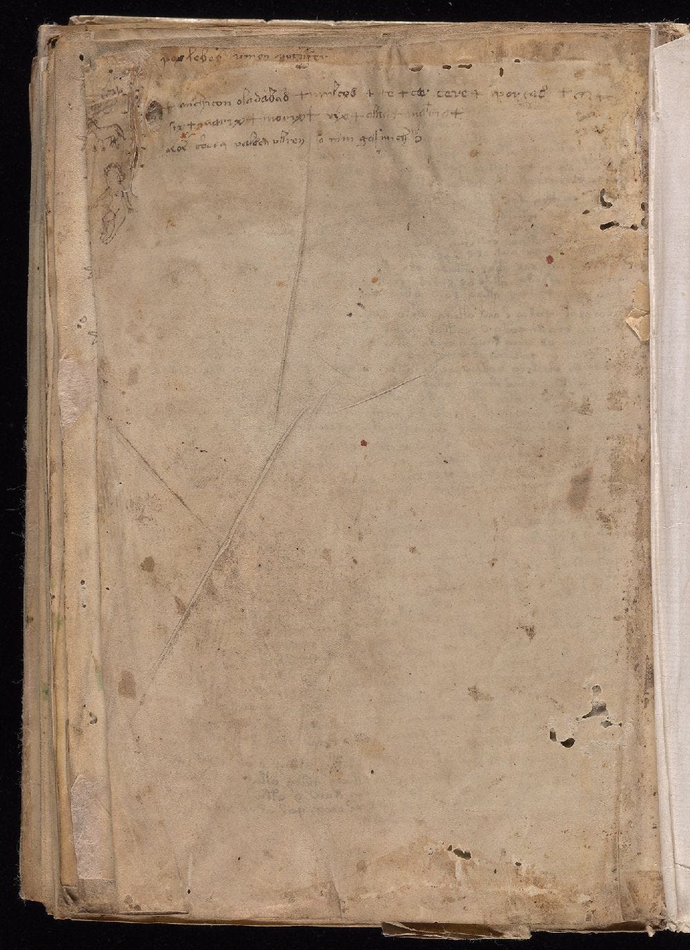 Manuscrito Voynich, f. 116v Manuscrito Voynich, f. 116v