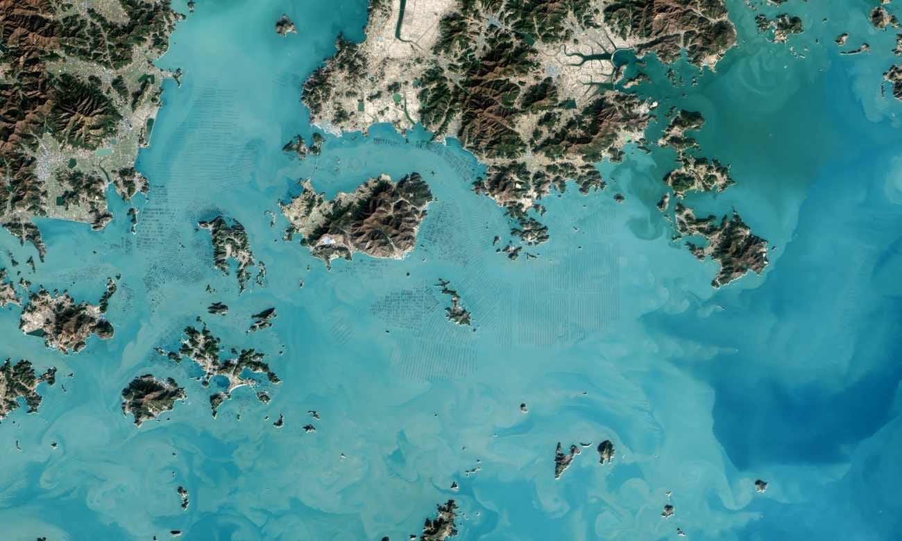 Seaweed from Space - Seaweed &amp; Co