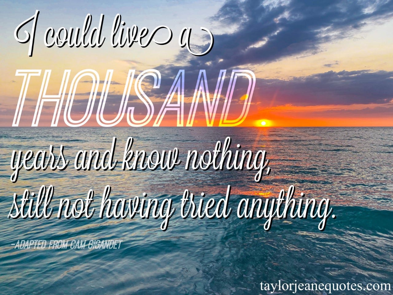 taylor jeane quotes, taylor jeane, taylor wilson, quote of the day, quote of the day #1000, 1000 quotes, quotes with 1000 in them, celebratory quotes, sentimental quotes, trial and error quotes, anna maria island