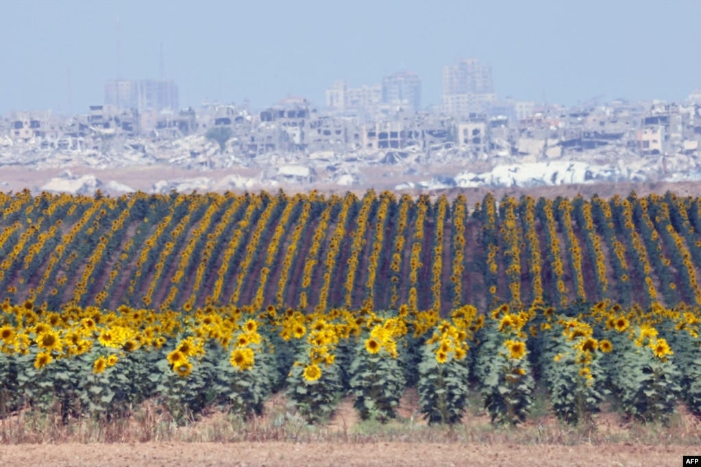 This picture taken from Israel's southern border with the Gaza Strip shows destruction in the Palestinian territory amid the ongoing conflict between Israel and the Palestinian militant group Hamas. This picture taken from Israel's southern border with the Gaza Strip shows destruction in the Palestinian territory amid the ongoing conflict between Israel and the Palestinian militant group Hamas.
