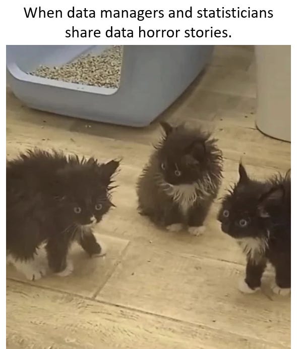 Three recently bathed cats looking scared Three recently bathed cats looking scared