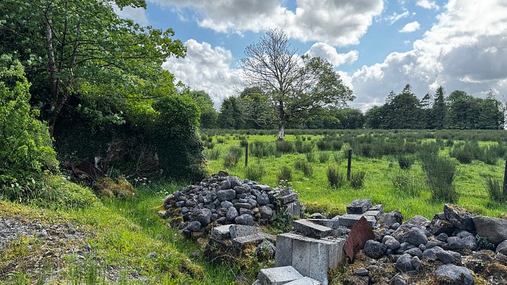 photos of a ruined home in Sligo