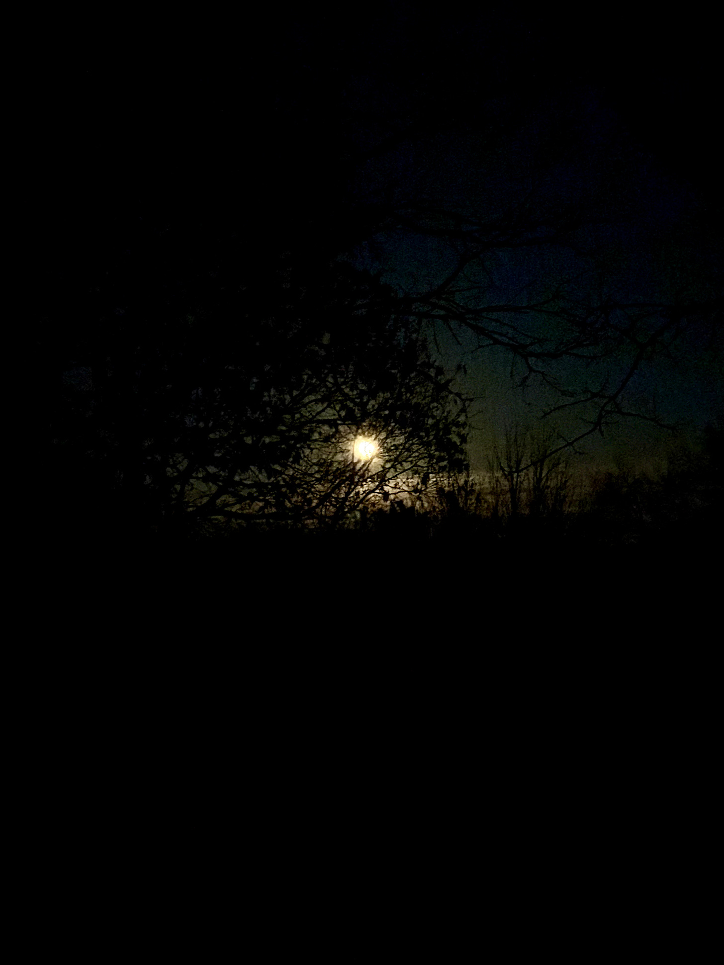 IMG_2899.jpeg
