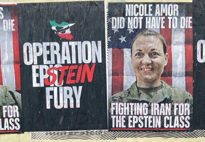 May be an image of poster, banner and text that says 'NICOLE AMOR DID NOT HAVE TO DIE DIE OPERATION EPSTEIN FURY FOR LASS FIGHTING IRAN FOR THE EPSTEIN CLASS'
