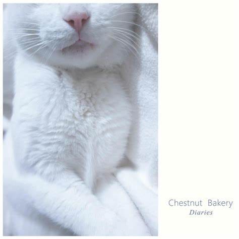 Chestnut Bakery - Diaries review by bdogmadfresh - Album of The Year