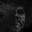 Christopher Gilmore's avatar