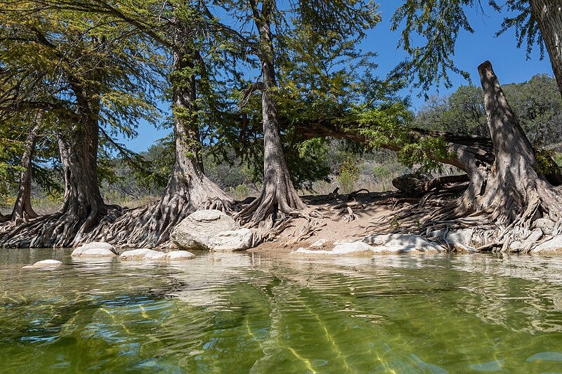 A river with trees and rocks

Description automatically generated